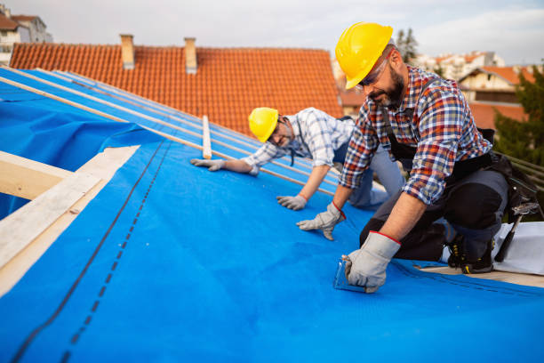 Best Commercial Roof Installation  in Ravenswood, WV